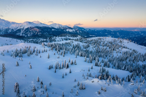 Aerial view of winter landscape with snow covered spruce forest in the mountains with beautiful sun light.