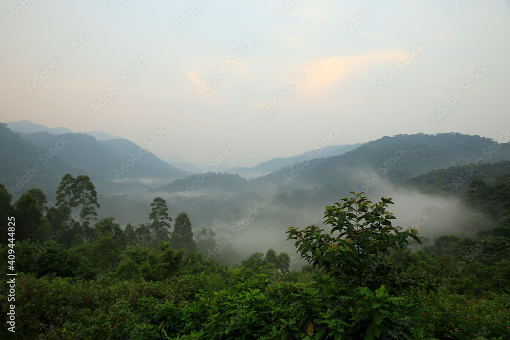 View of Bwindi Impenetrable Forest, Covered in Morning Mist. Uganda