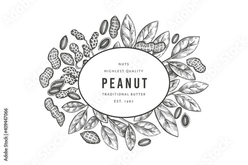 Hand drawn peanut branch and kernels design template. Organic food vector illustration on white background. Retro nut background. Engraved style botanical picture.