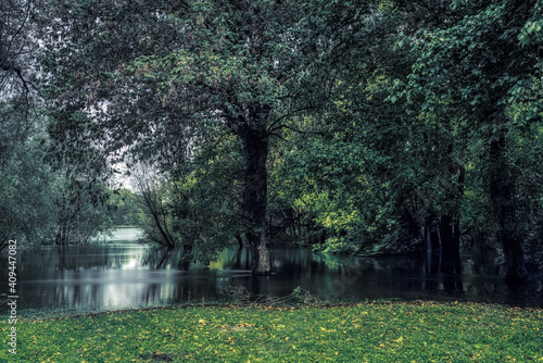 River into the woods during the flood