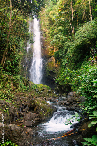 Fototapeta Naklejka Na Ścianę i Meble -  Melanting waterfall near Munduk, Bali, Indonesia