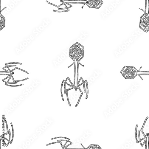 Seamless pattern of outlines virus bacteriophage