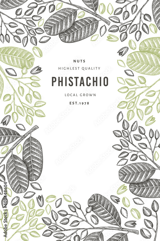 Fototapeta premium Hand drawn phistachio branch and kernels design template. Organic food vector illustration on white background. Retro nut illustration. Engraved style botanical banner.