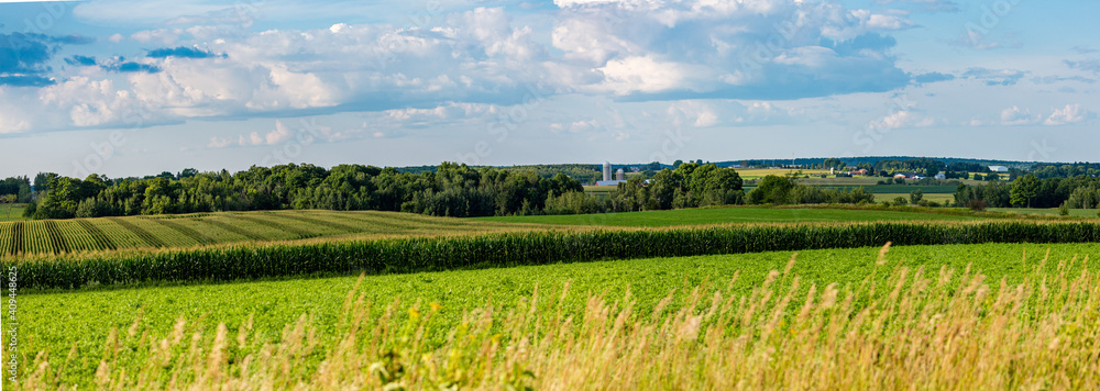 Fototapeta premium Central Wisconsin farmland in summer