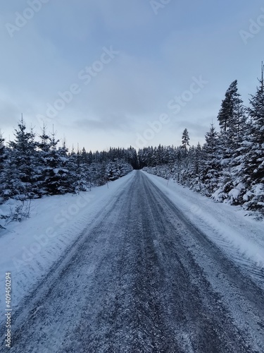 road in the snow © filip