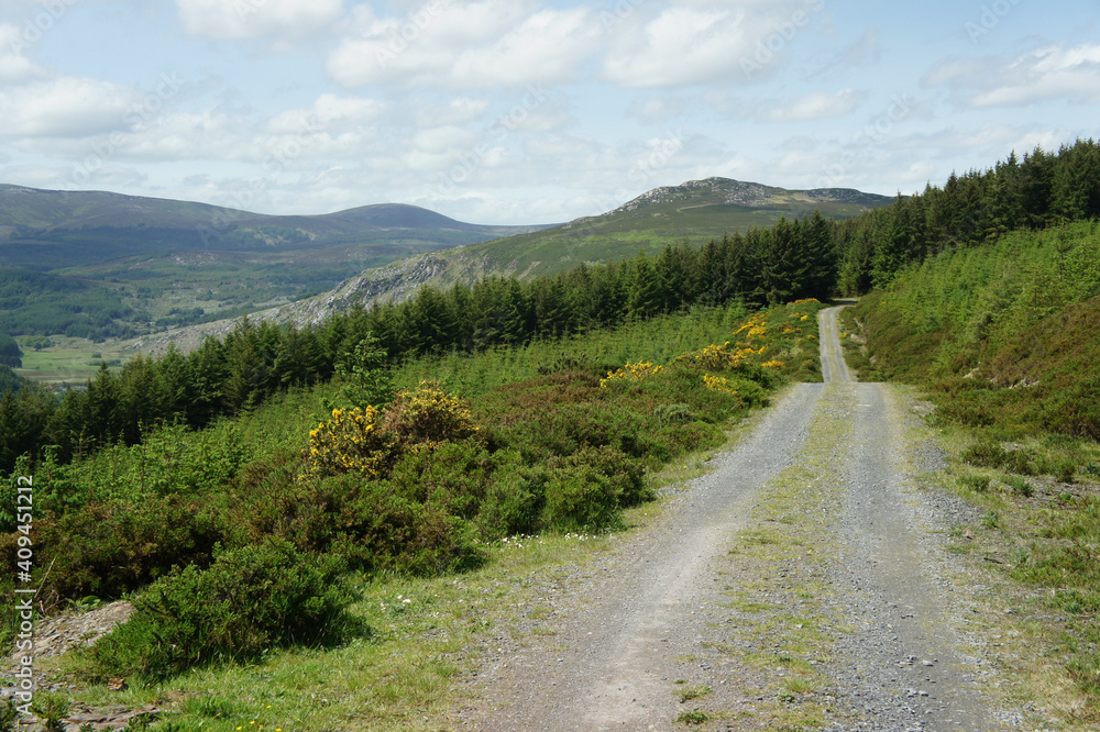 The road leading to the forest in the Wicklow mountains.