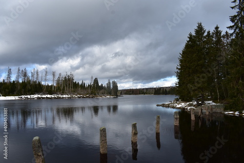 Naturfotografie im Harz um Oderteich