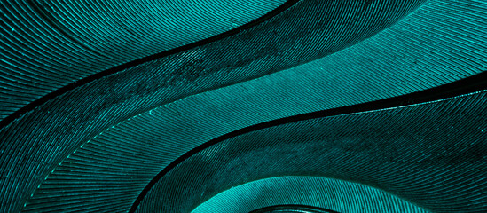 Fotobehang Hotel Blauwe duivenveer in close-up  © Krzysztof Bubel