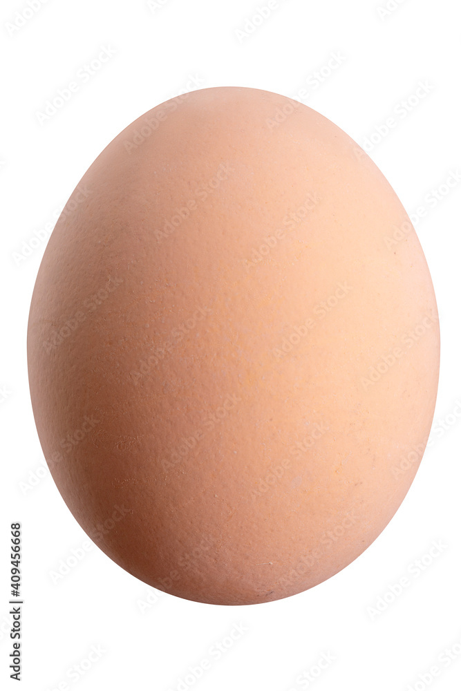 Large picture of an isolated egg with a white background. Large picture of an isolated egg with a white background.