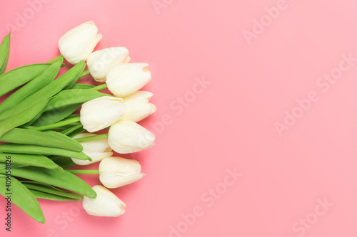 Fototapeta Naklejka Na Ścianę i Meble -  Spring flowers bunch of white tulips on the pink background with free space for text. Mother's day or women's day composition.