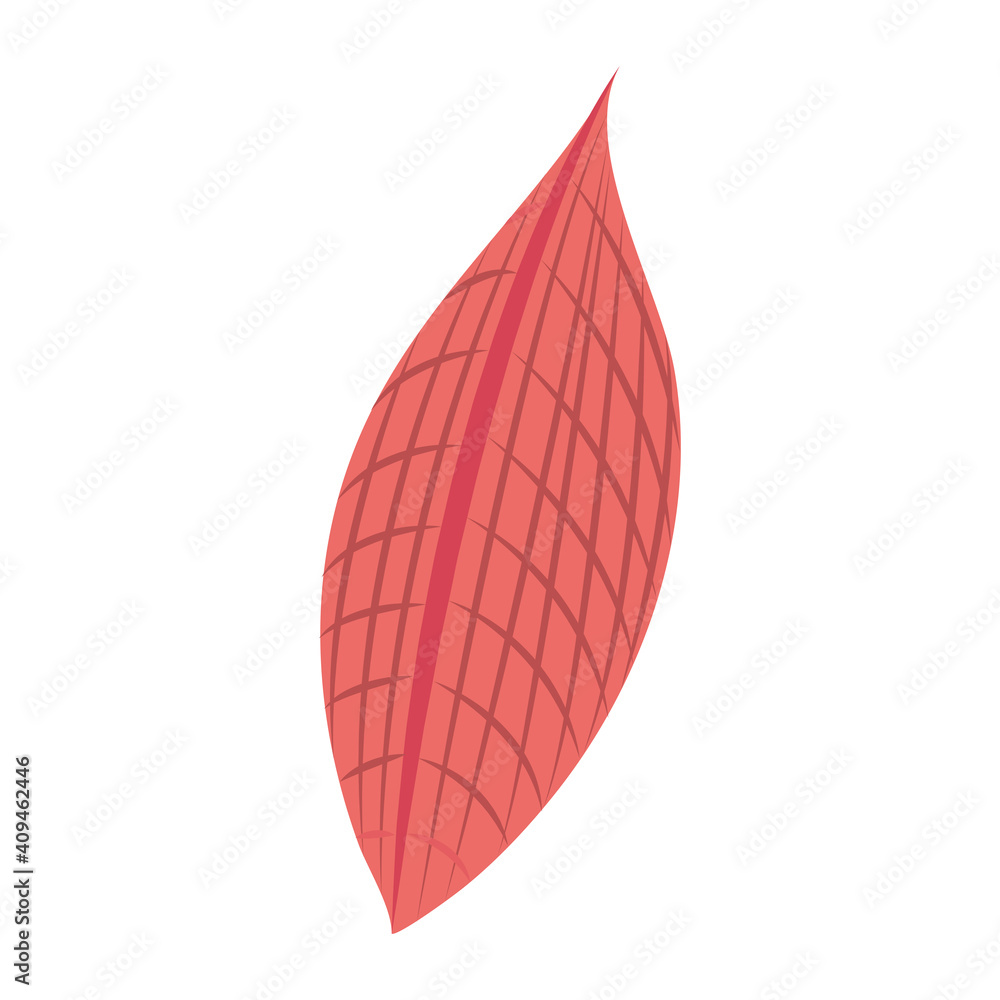 tropical leaf foliage forest abstract style icon tropical leaf foliage forest abstract style icon