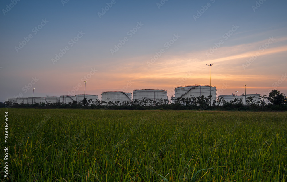 Obraz premium Large oil tanks from industrial fields, oil and gas industry perspective, petrochemicals, oil storage tanks of refineries and steel pipelines at night, healthy ecosystems and environmental concepts.