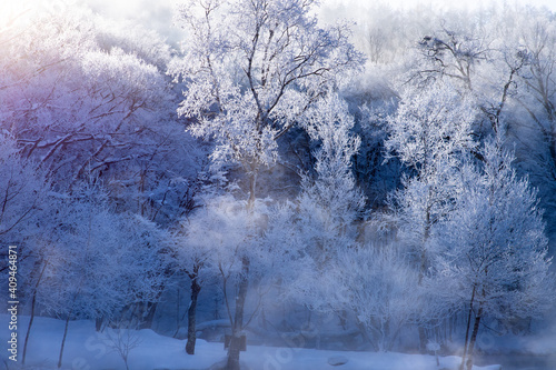 北海道冬の風景 富良野の樹氷