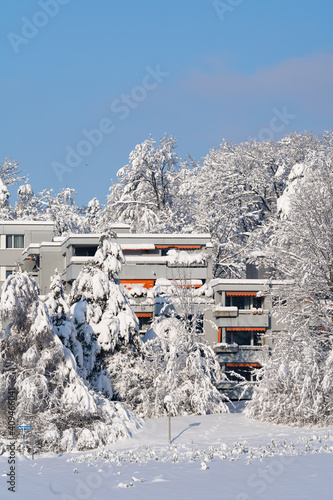 Apartment buildings surrounded by snow-covered trees photo