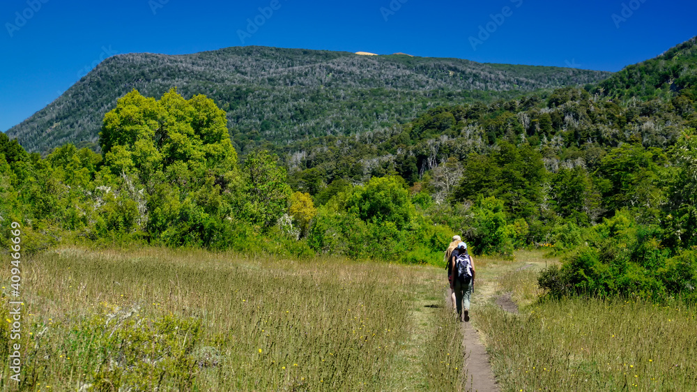  Two young women hiking in a forest in San Martin de los Andes surrounded by a few horses , Neuquen, Patagonia, Argentina.          