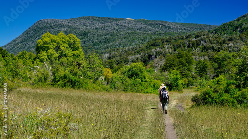  Two young women hiking in a forest in San Martin de los Andes surrounded by a few horses , Neuquen, Patagonia, Argentina. 