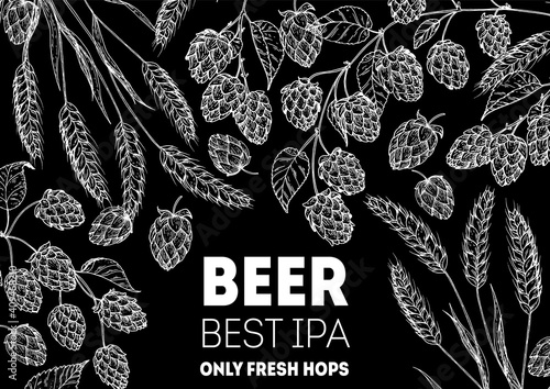Brewery design template. Beer hop illustration. Hand drawn sketch design. Beer ingredients vector illustration.