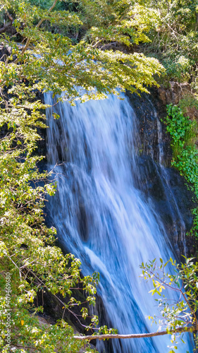   small beautiful waterfall in the forest near San Martin de los Andes  Neuquen  Argentina