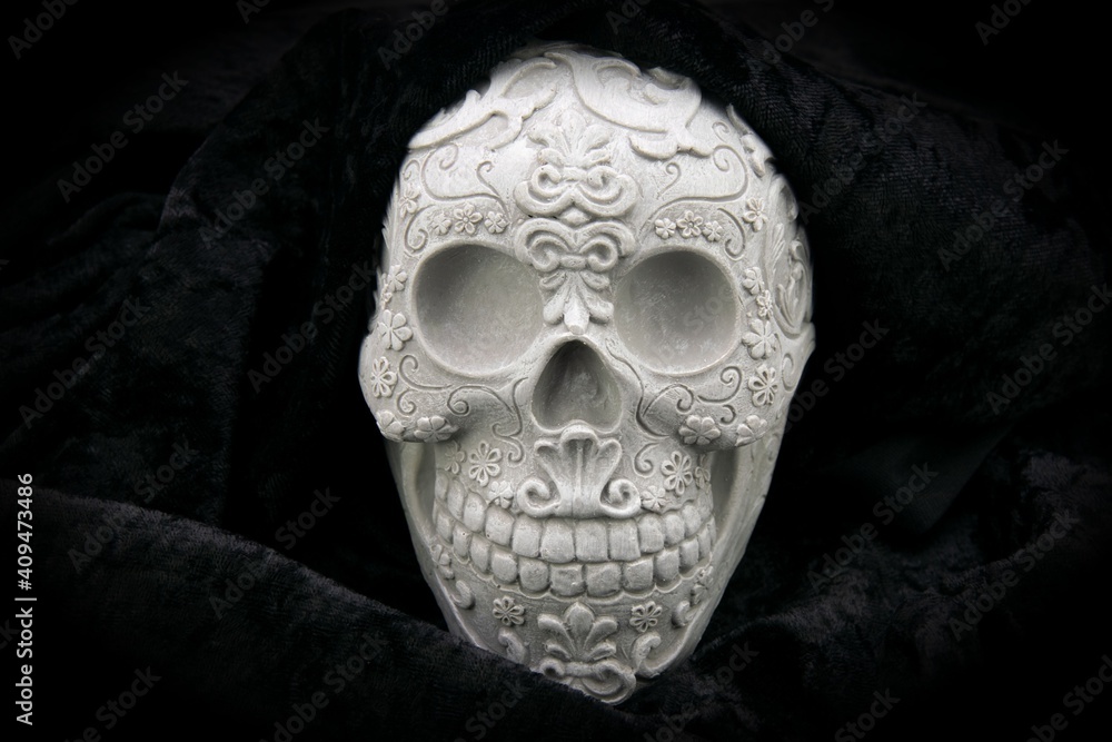 skull  on black velvet background - Halloween - Day of the death