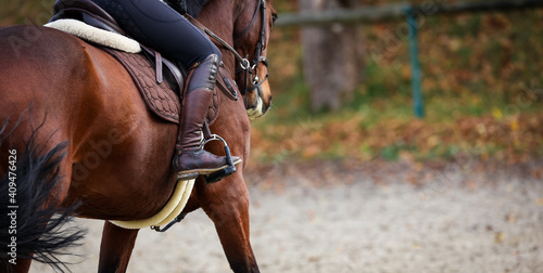 Horse with rider close up of riding boot in stirrup, focus on the boot photographed from behind.. © RD-Fotografie