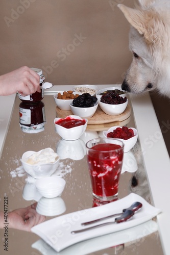 Łepek białego psa nad śniadaniem