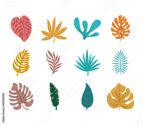 tropical leaf foliage exotic nature icon set flat design