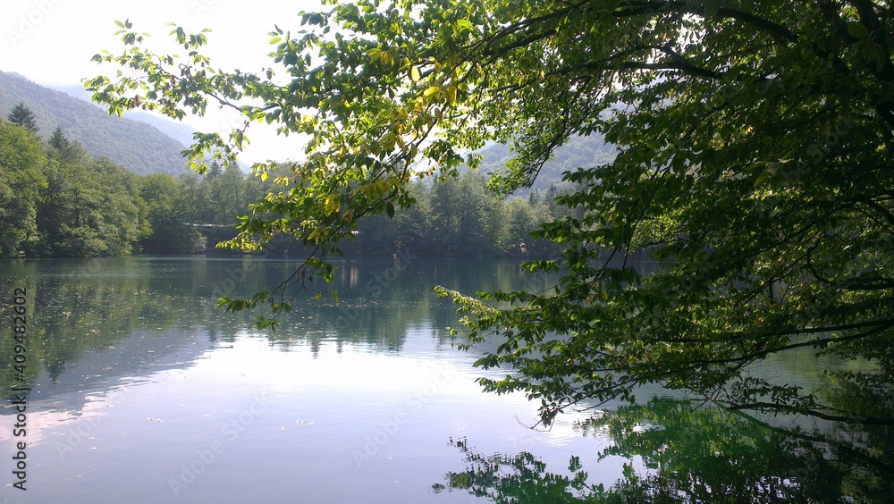 lake in the forest