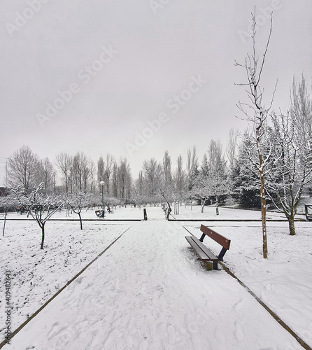 A park in a heavy snowfall in the afternoon
