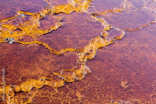 Stromatolites, Rio Tinto river, Andalusia Spain.