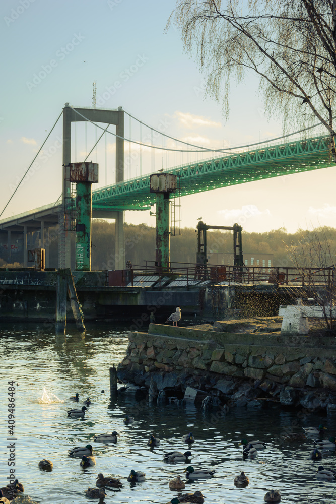 Obraz premium An evening walk with setting sun and swimming ducks next to älvsborgsbron, Gothenburg Sweden