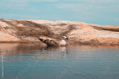 São Francisco do sul - Brasil