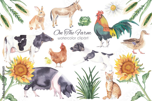 Farm animals. Watercolor farm animals on white background. Domestic animals: pig, rooster, chicken, donkey, dog, cat, pig and rabbit. Flowers: sunflower, daisy and grass.  photo