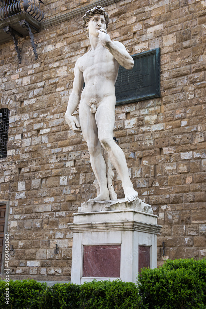 David in Piazza della Signoria. Florence