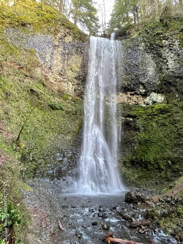 Waterfall in nature  Silver Falls State Park  Oregon