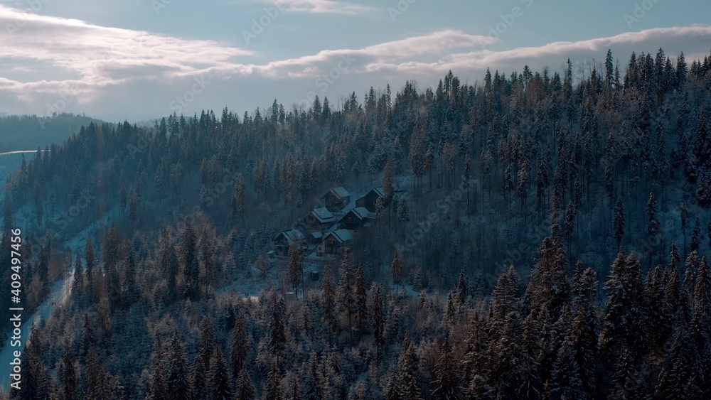 Obraz premium Cozy forest houses hidden in the forest in the mountains