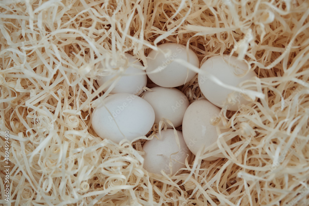 Chicken eggs lying in the hay