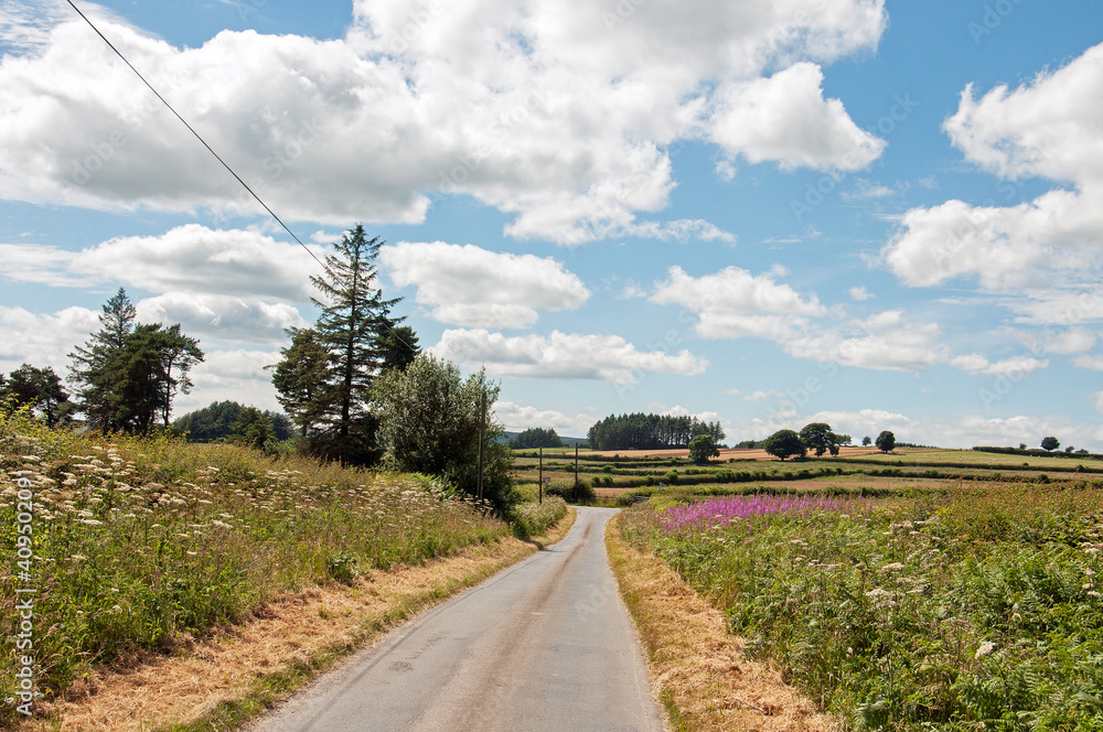 Summertime road in the countryside of Wales