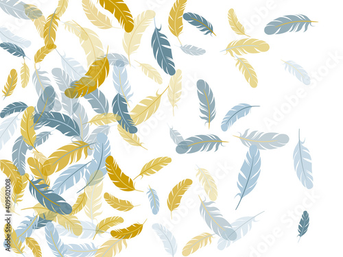 Flying feather elements airy vector design.