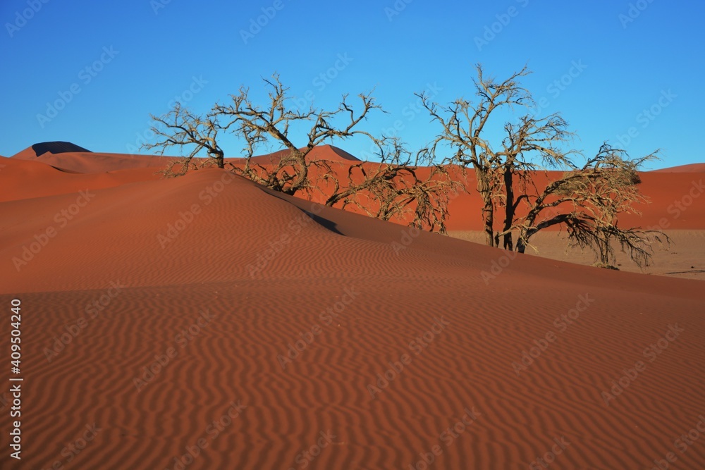 Wüstenlandschaft auf dem Weg ins Hidden Vlei im Namib-Naukluft Nationalpark. Wüstenlandschaft auf dem Weg ins Hidden Vlei im Namib-Naukluft Nationalpark.
