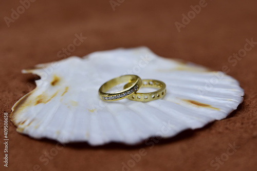 Wedding rings placed together on the shell