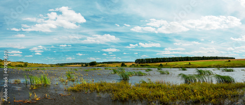 Fototapeta Naklejka Na Ścianę i Meble -  Summer landscape with river with growing grass.Concept of river siltation.