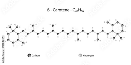Molecular structure of beta carotene