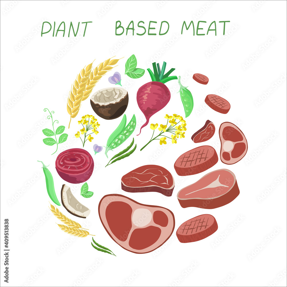 Vegan sources of protein. Plant based meat icons in cartoon style. Peas and beet, wheat and rapeseed oil, coconut oil, vector illustration. Vegetables transform into meat, process Vegan sources of protein. Plant based meat icons in cartoon style. Peas and beet, wheat and rapeseed oil, coconut oil, vector illustration. Vegetables transform into meat, process