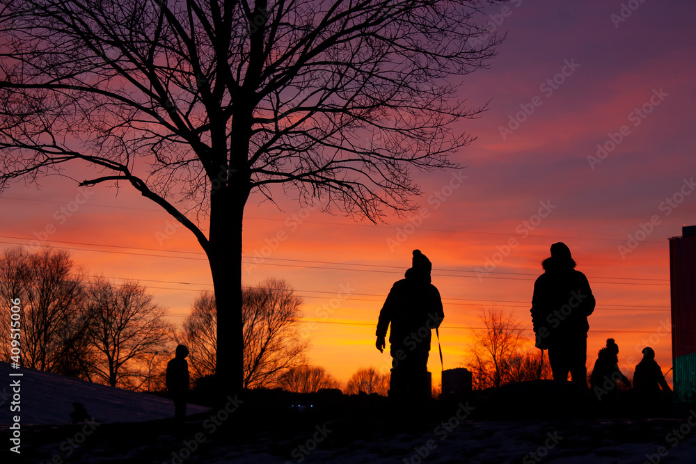 Horizontal outdoors photo with dark silhouettes of two children, walking under black silhouette of naked tree at dusk against colourful sky on winter evening