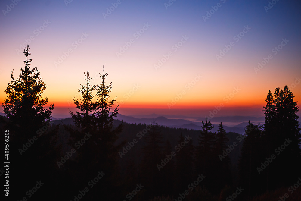 Fototapeta premium The silhouette of a fir tree against the background of a mountain valley and the orange and purple sky at dawn. Sunrise in the mountains, panoramic view.