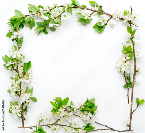 square natural spring frame made of thin twigs of cherry or apple blossom on a white background, place for text 