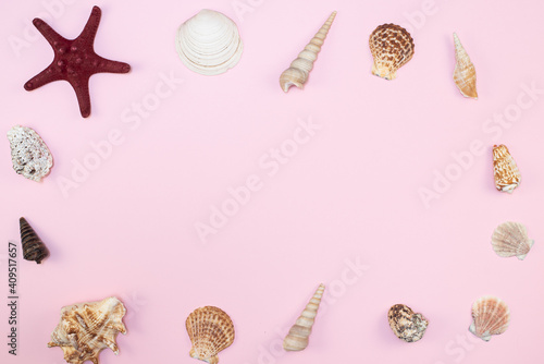 Creative seashell pattern pastel pink background. Top view of the sea background. Place for your text.