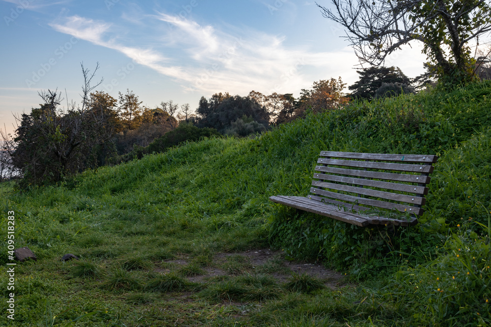 Wooden bench in monsanto's natural park, in Lisbon.