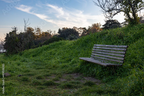 Wooden bench in monsanto's natural park, in Lisbon.