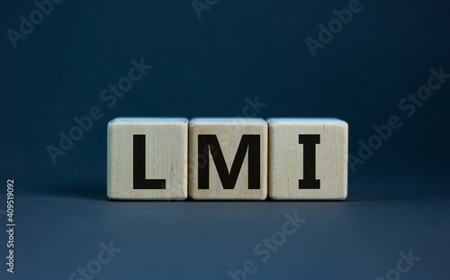 LMI, lenders mortgage insurance symbol. Wooden cubes form the word 'LMI, lenders mortgage insurance'. Beautiful grey background, copy space. Business and LMI, lenders mortgage insurance concept.